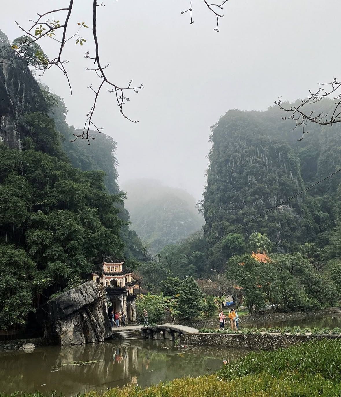 Train arriving at Ninh Binh station with limestone karst hills visible in the background